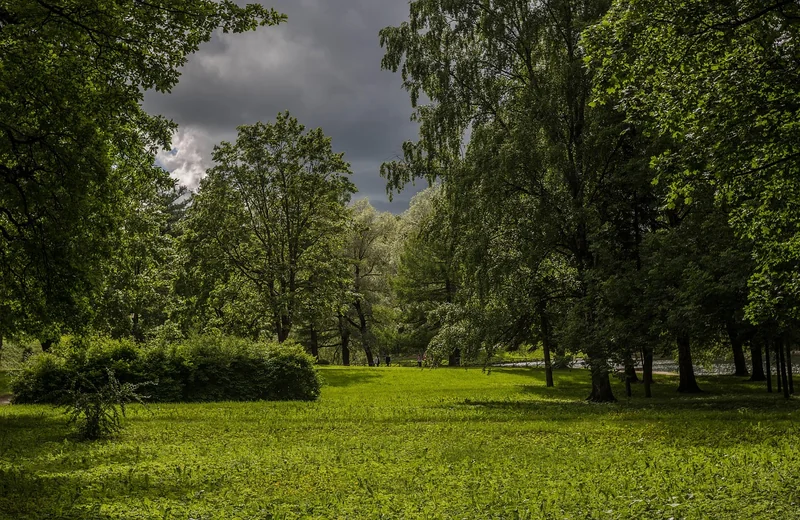 Vorher
